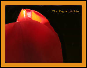 The Power Within...
