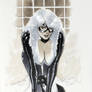Black Cat and Kitty