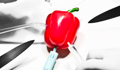 plastic surgery - red pepper