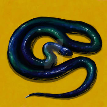 Turquoise blue fantasy snake