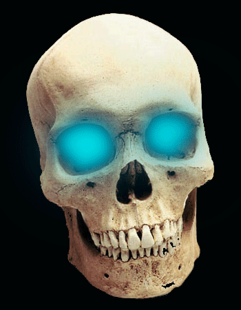 Talking Skull by praiser2005 on DeviantArt Talking Skull by praiser2005 on DeviantArt