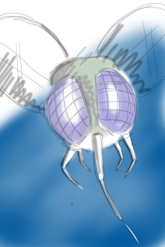 Fly Bug Deviantart FLYING INSECT by diogotw on DeviantArt
