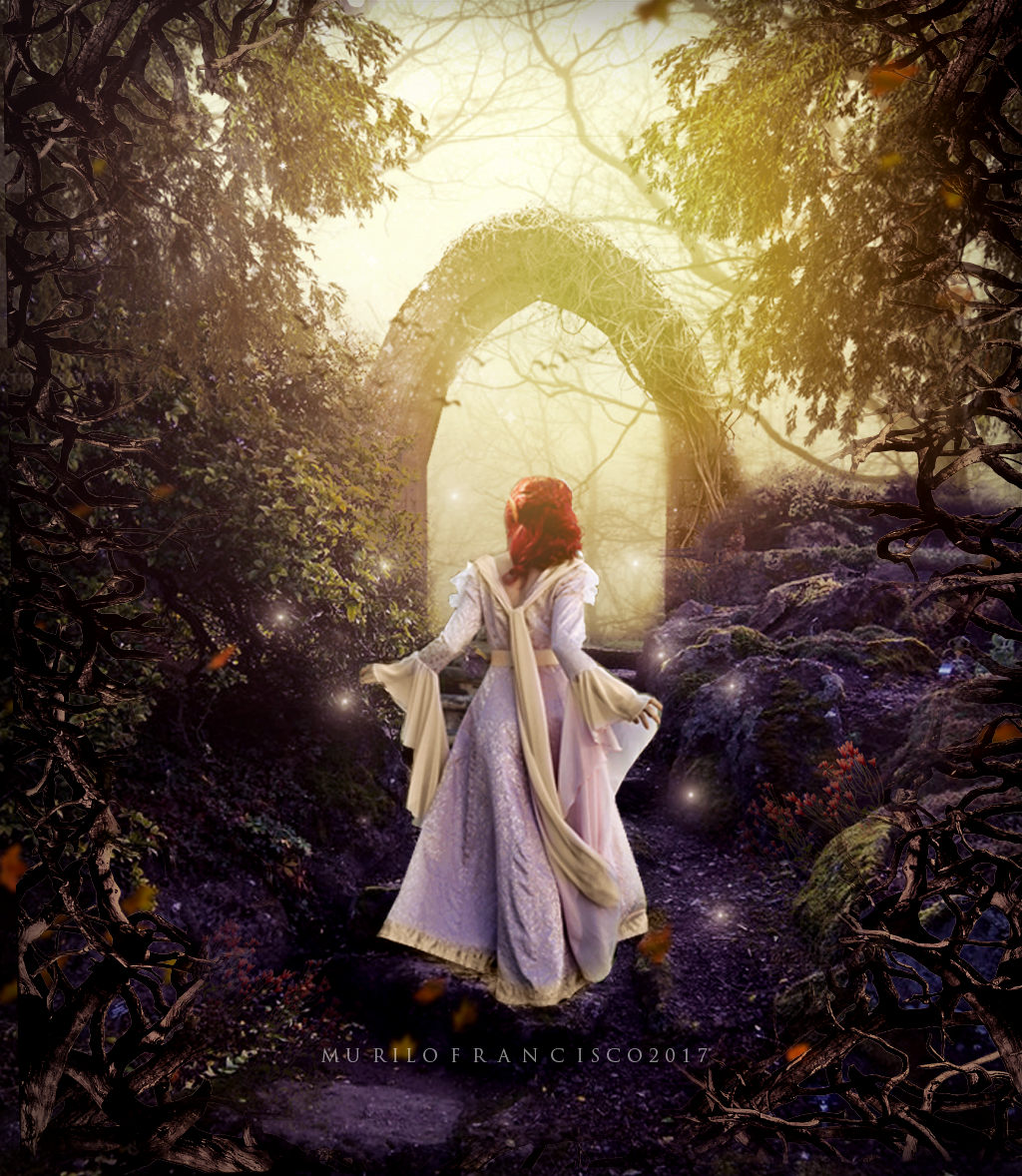 Fantasy Forest
