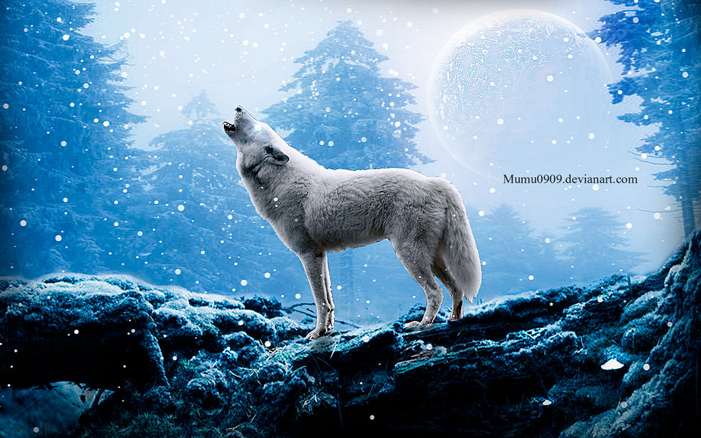 Snow Wolf