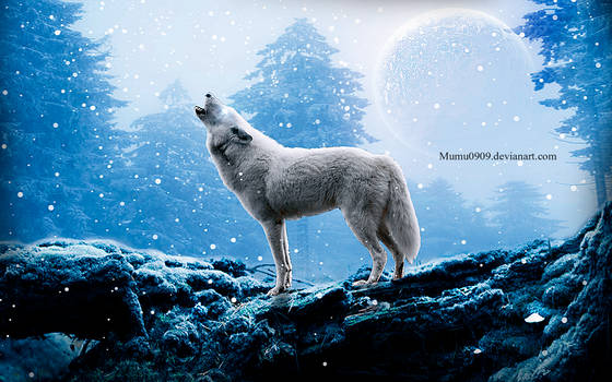 Snow Wolf