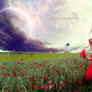 Flower Fields