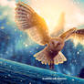 Fantasy Owl