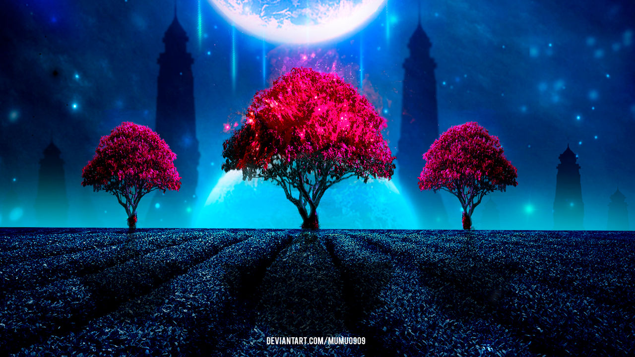 Universe Tree's
