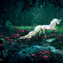 White Horse(Collaboration with Jasminira)