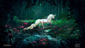 White Horse(Collaboration with Jasminira)