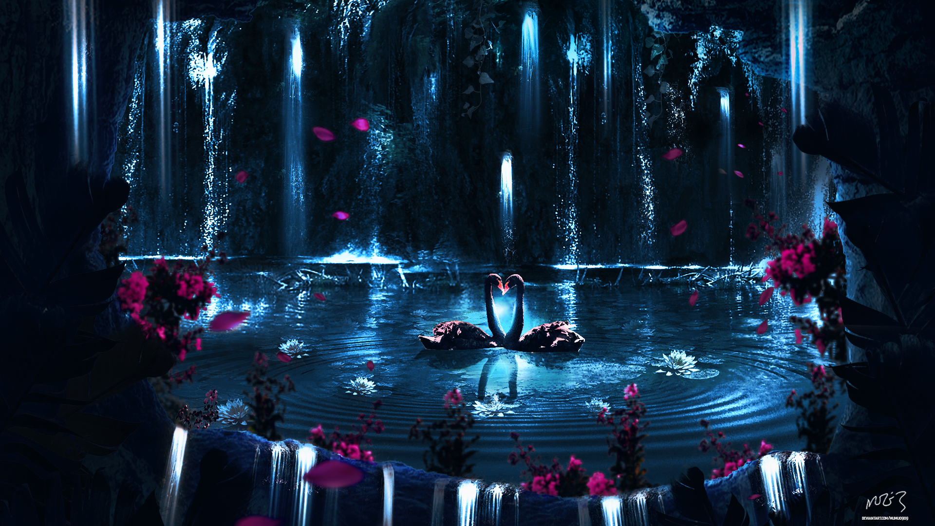Black Swan Encounter