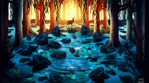 Evening In The Forest