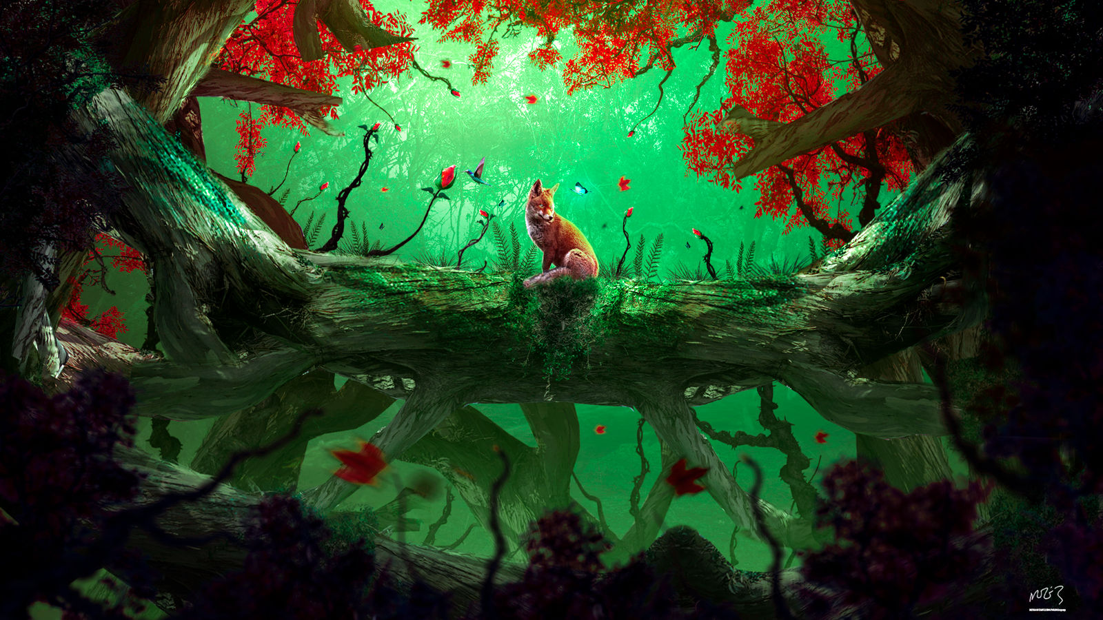 Bloom From The Forest