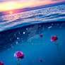 Romantic Ocean Exclusive Premade