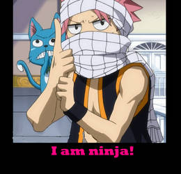 ninja