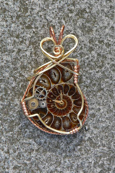 Professor Aronnax Ammonite Pendant