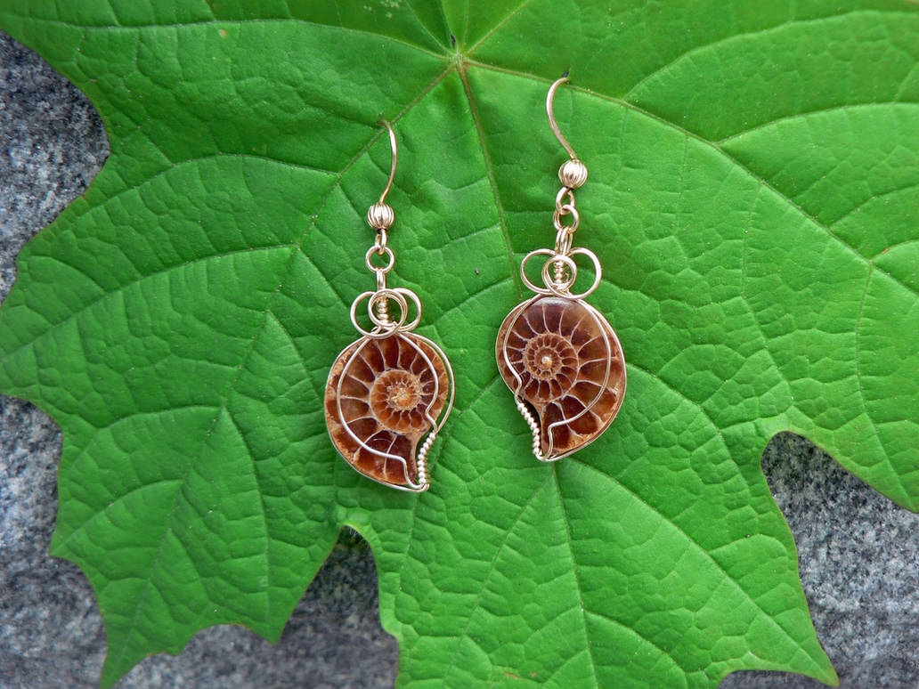 Tiny Ammonite Earrings by magpiesmiscellany