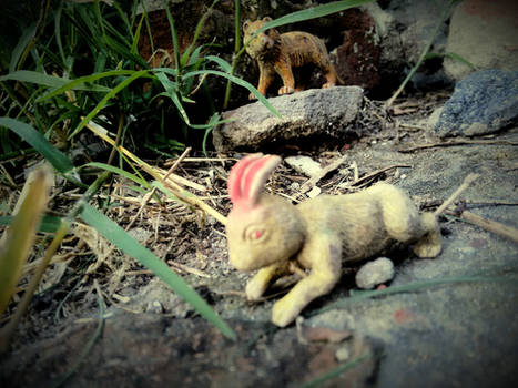 Small world in the garden | Tiger and Rabbit ll