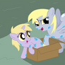 Derpy Dinky Shipping