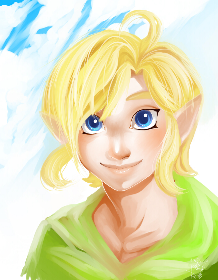 Skyward young Link