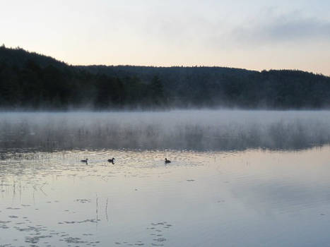 Serenity at Parks Pond