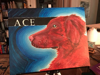 Ace_ pet portrait