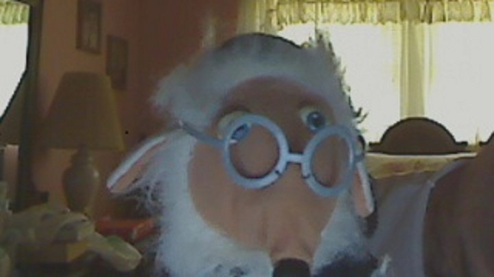 A Womble Is Watching You