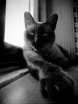 Come Closer... by Torkhelle