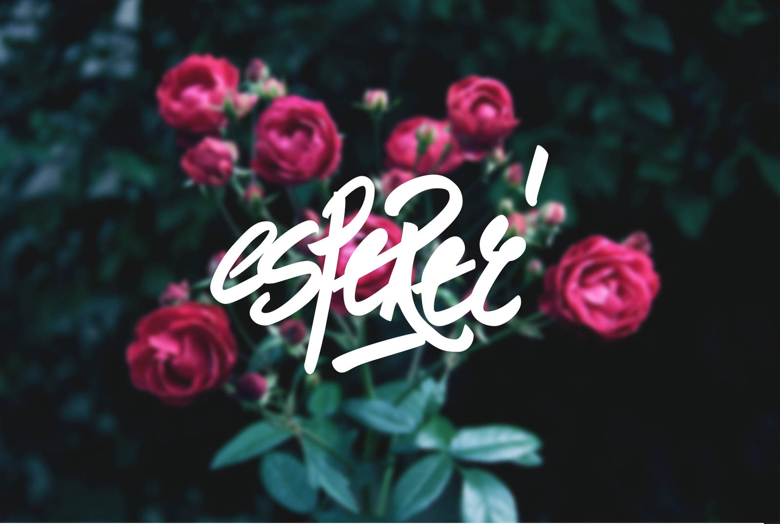 Esperer by BeAino