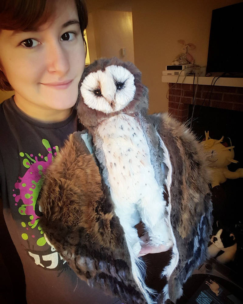Jax the Barn Owl Size Comparison by FurioustheOwlBoy on DeviantArt