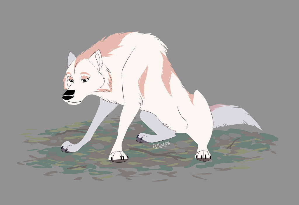 White Wolf by FurioustheOwlBoy on DeviantArt