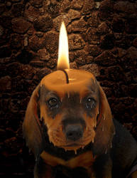 Puppy Candle