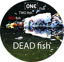 ONE fish... DEAD fish