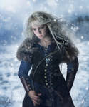 Winter Warrior by revande