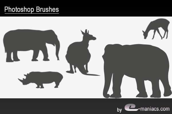 Savanna animals brushes