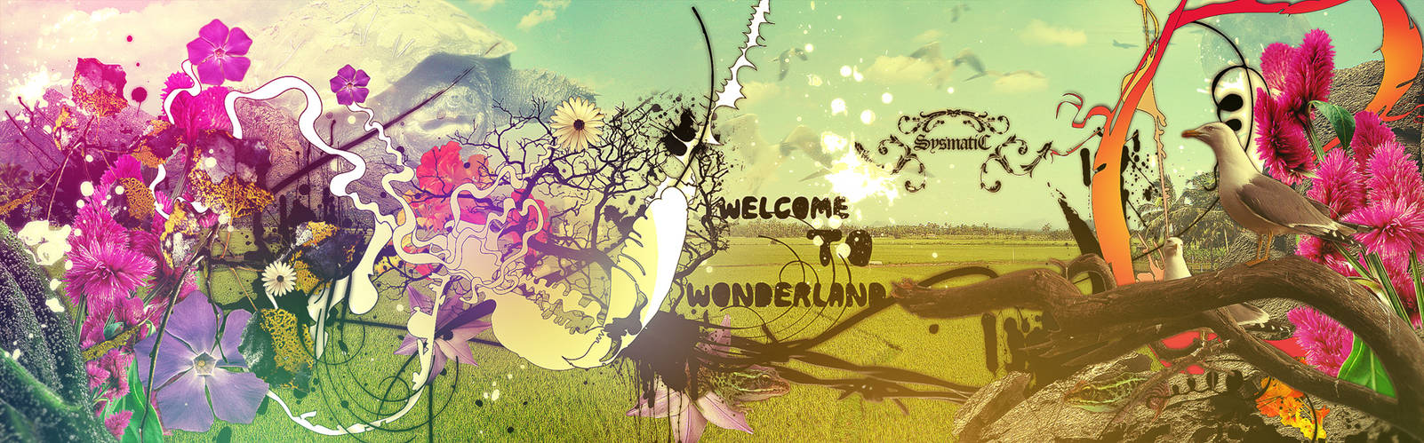 Welcome to Wonderland