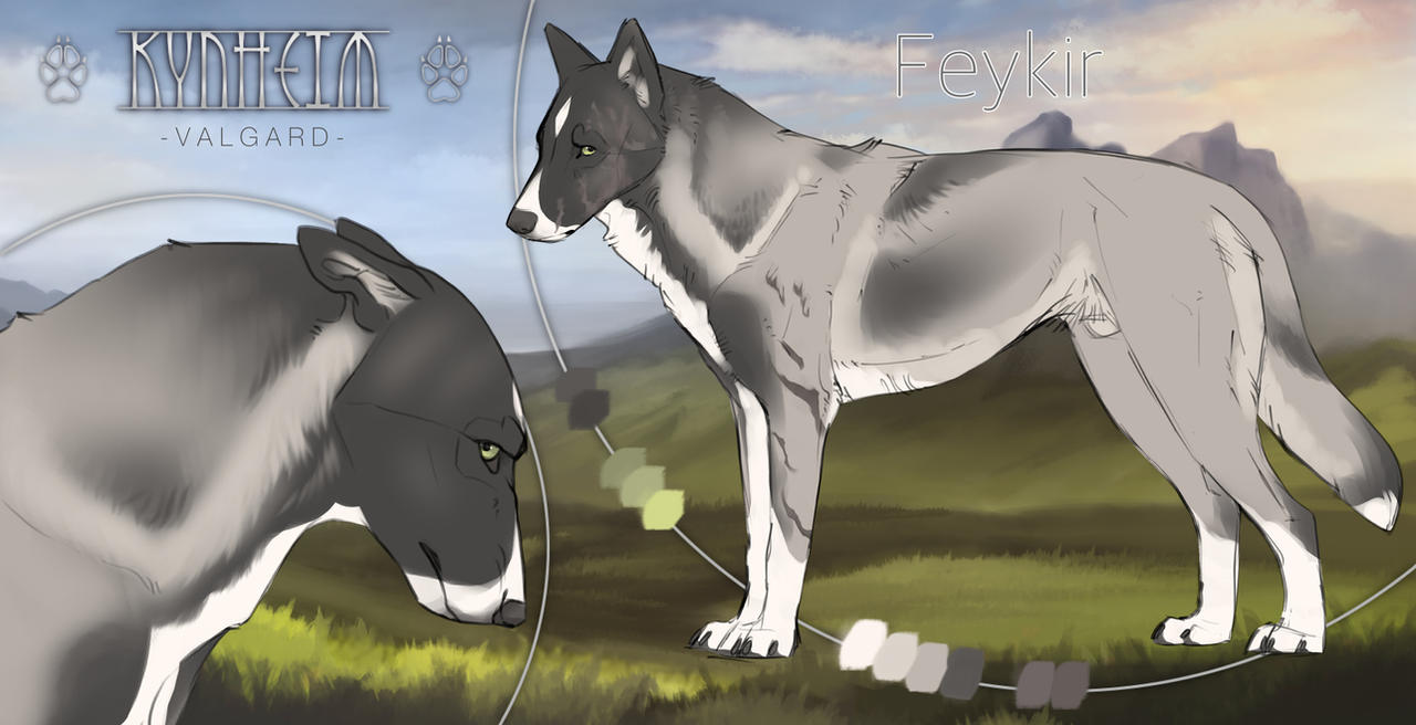 KyN: Feykir | Alpha