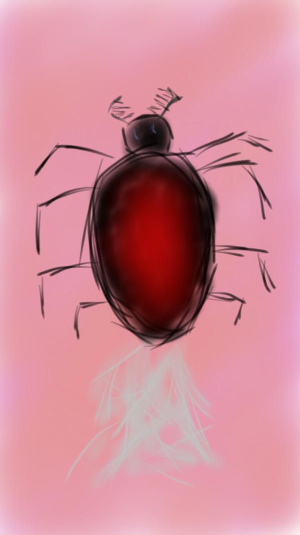 Spider Insect Deviantart SPIDER by geovannapudim on DeviantArt