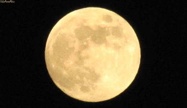 Yellow moon