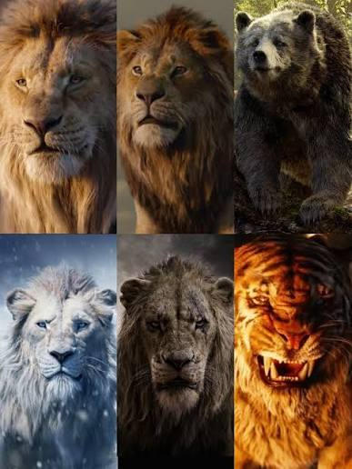 Simba Blood Simba's Team vs Scar's Team by JoshuaBlood on DeviantArt