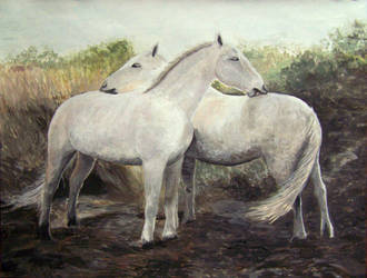 Horses