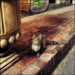 cicegi burnunda by MistyTableau