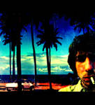 palmgrove - porschepilot by Petko