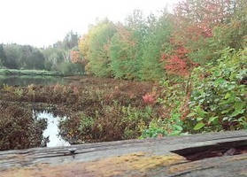 looking out upon the water