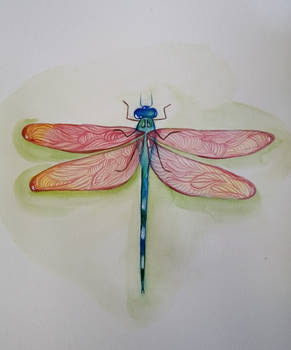 Dragonfly