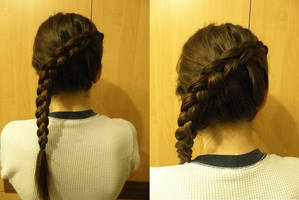 The Hunger Games Braid