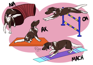Agility Titles for French Touch Kennel by prettypinkey2