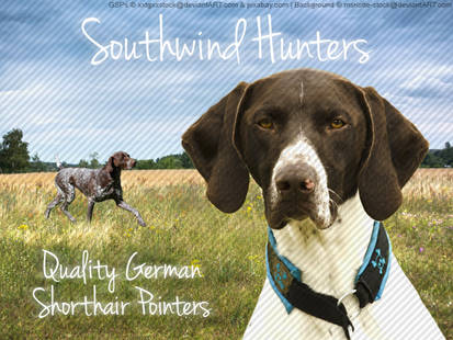 Pretty Gsp Explore the Best Gsp Art | DeviantArt