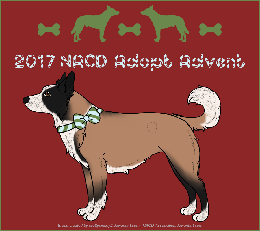 2017 NACD Adopt Advent #15