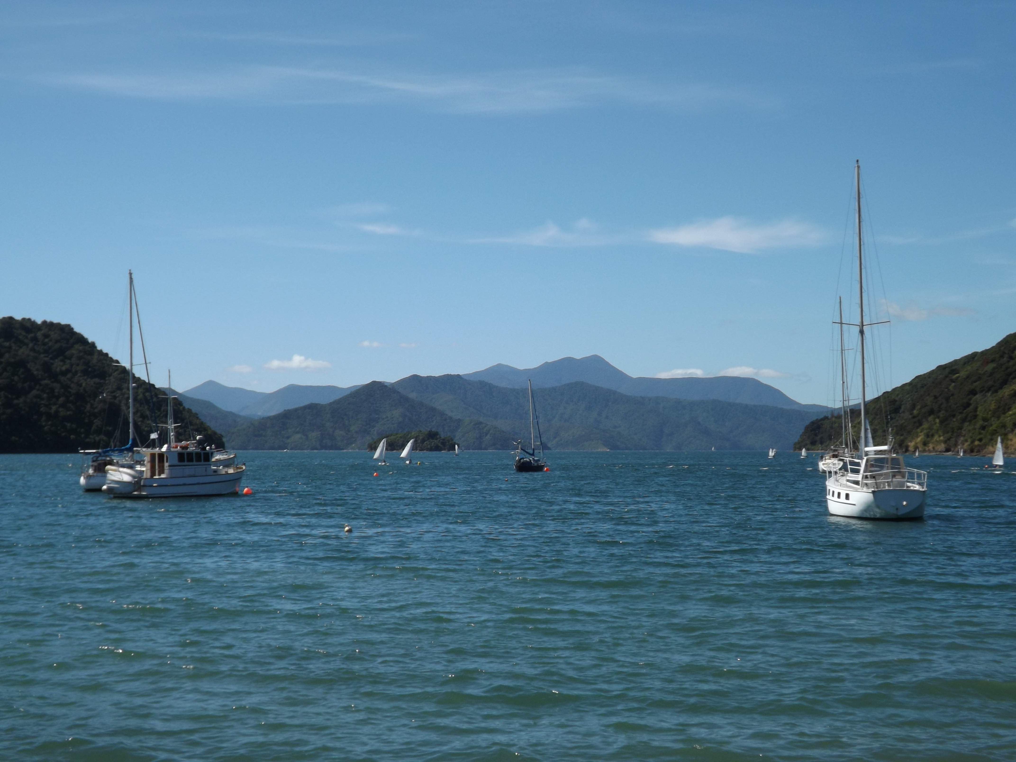 New Zealand 2014- Seascape 1